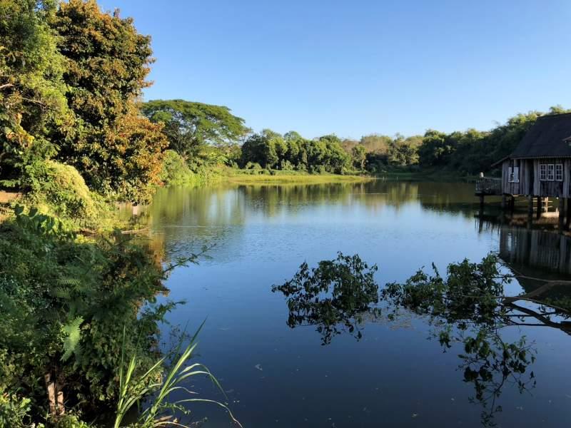 Wiang Chai House with 7 Rai Land and Fish Pond for Sale - Image# 2