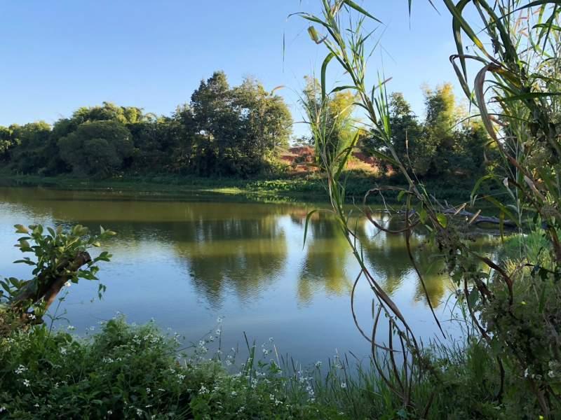 Wiang Chai House with 7 Rai Land and Fish Pond for Sale - Image# 6