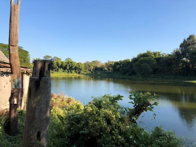 Wiang Chai House with 7 Rai Land and Fish Pond for Sale - Image# 7