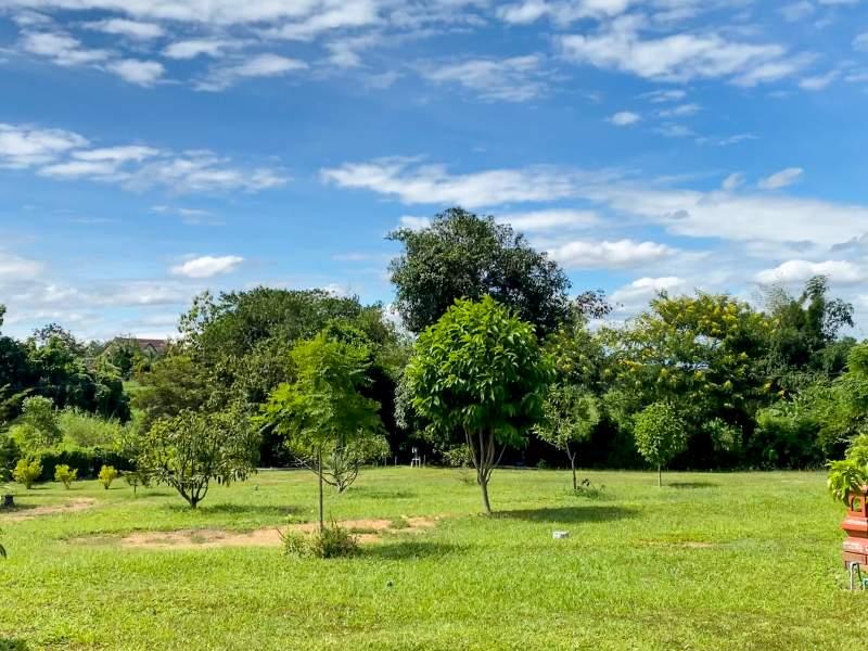 Huge Property 5 Rai 2 Ngan Land with 2-Bedroom House - Huge property 1 house