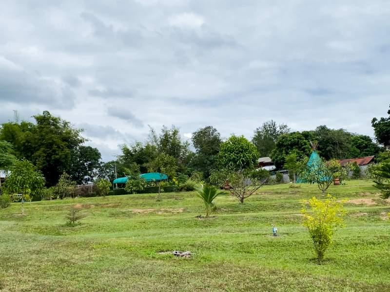 Huge Property 5 Rai 2 Ngan Land with 2-Bedroom House - Huge property 1 house