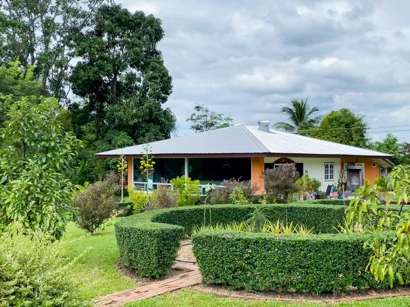 Huge Property 5 Rai 2 Ngan Land with 2-Bedroom House - Huge property 1 house