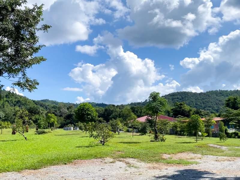 Huge Property 5 Rai 2 Ngan Land with 2-Bedroom House - Huge property 1 house