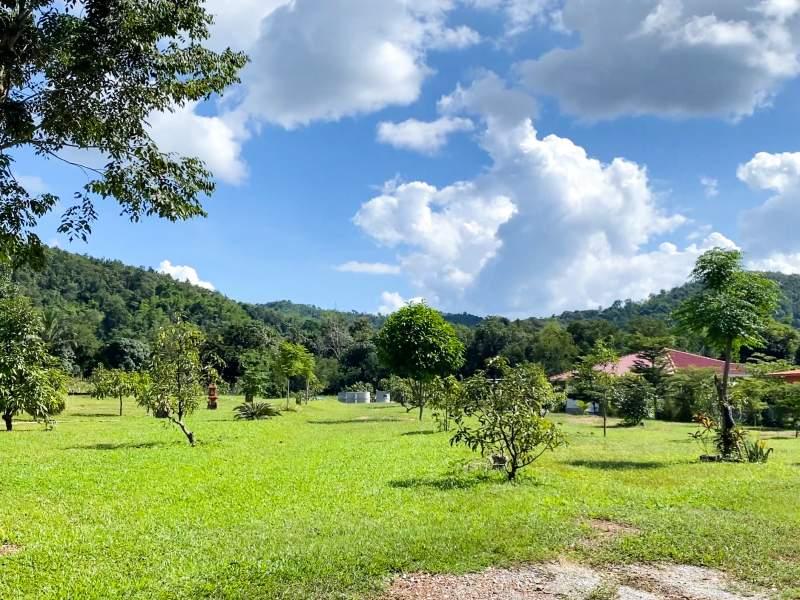 Huge Property 5 Rai 2 Ngan Land with 2-Bedroom House - Huge property 1 house