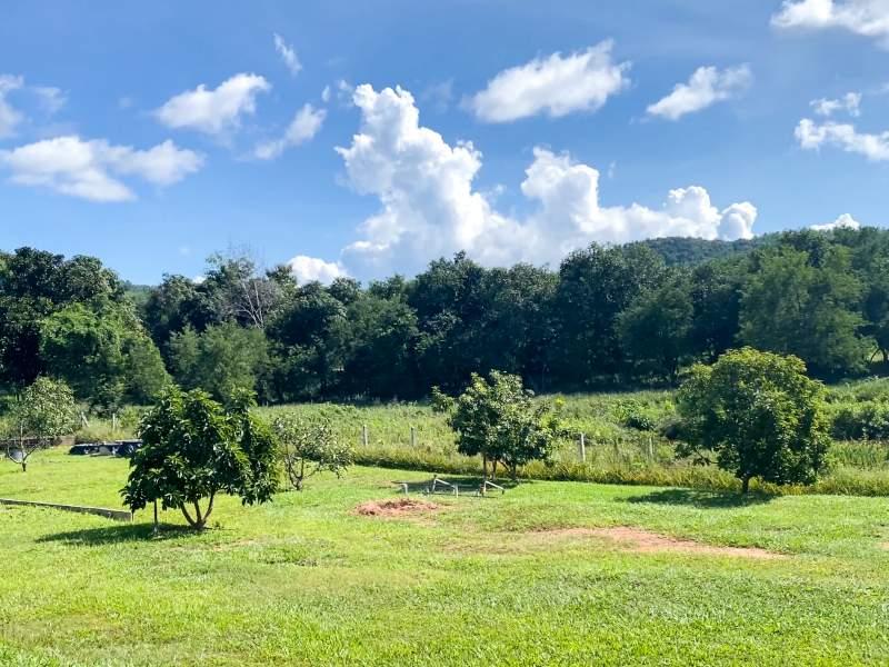 Huge Property 5 Rai 2 Ngan Land with 2-Bedroom House - Huge property 1 house