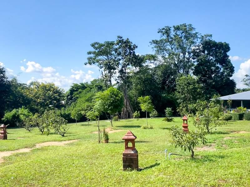 Huge Property 5 Rai 2 Ngan Land with 2-Bedroom House - Huge property 1 house