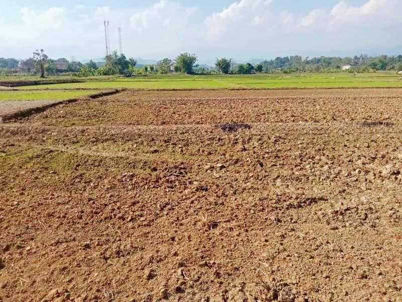 Land for Sale in Wiang Chai - 9 Rai 3 Ngan 264 Sqw - Image# 1