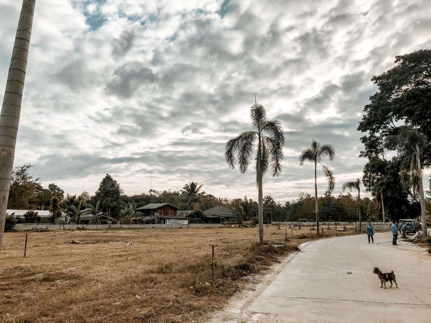 Land for Sale in Rim Kok, Mueang Chiang Rai - Image# 1