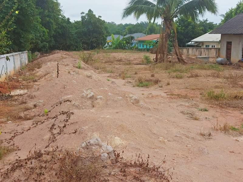 Land for Sale in Wiang Chai, Chiang Rai - Image# 1