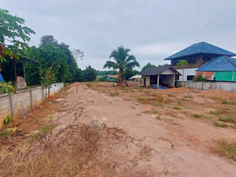 Land for Sale in Wiang Chai, Chiang Rai - Image# 2