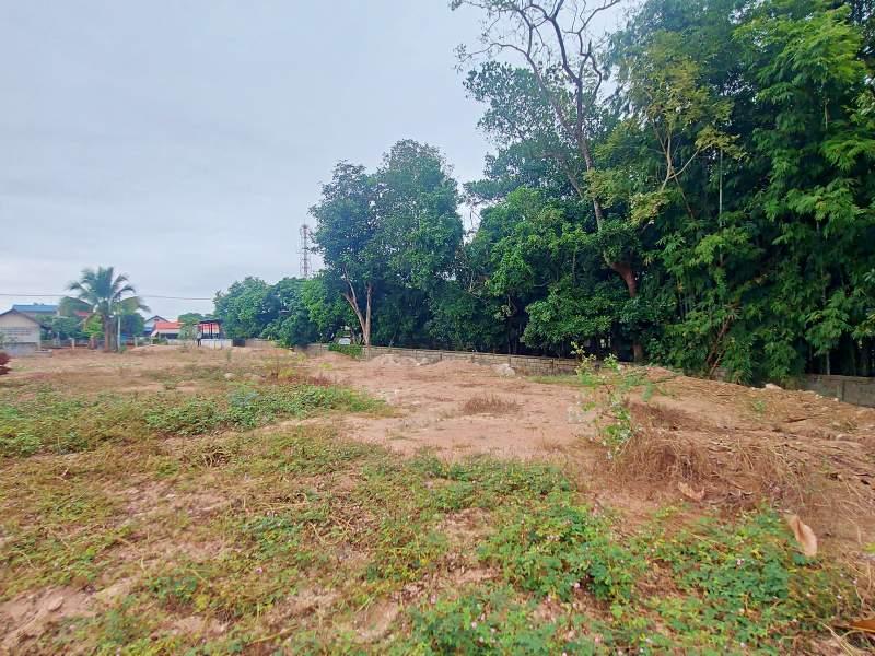 Land for Sale in Wiang Chai, Chiang Rai - Image# 4