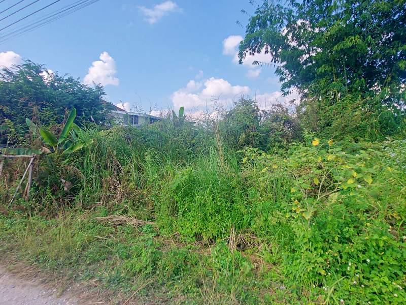 Land for Sale in Rop Wiang, Mueang Chiang Rai - LAND in Chiangrai
