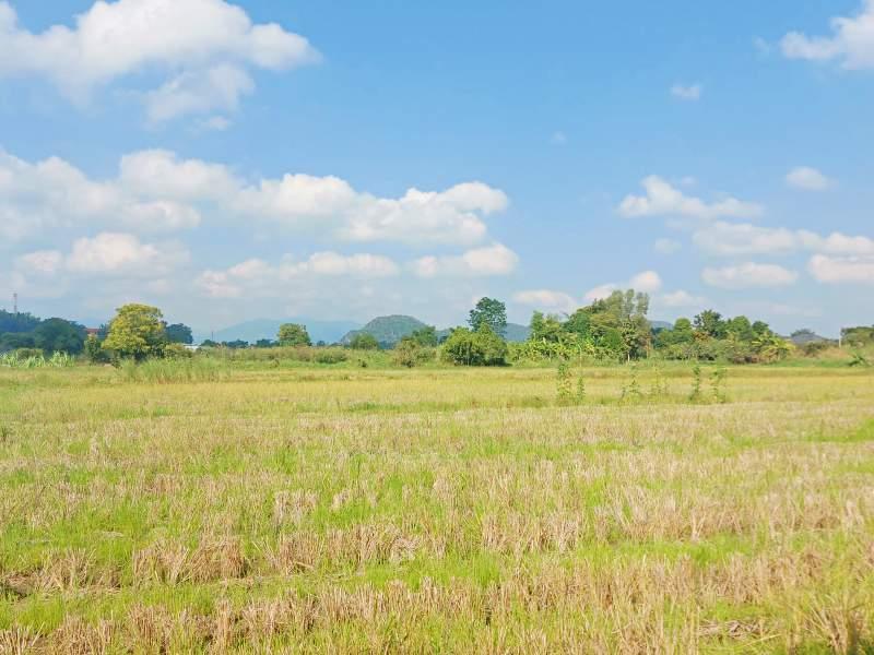 Land for Sale in Rop Wiang, Mueang Chiang Rai - LAND in Chiangrai