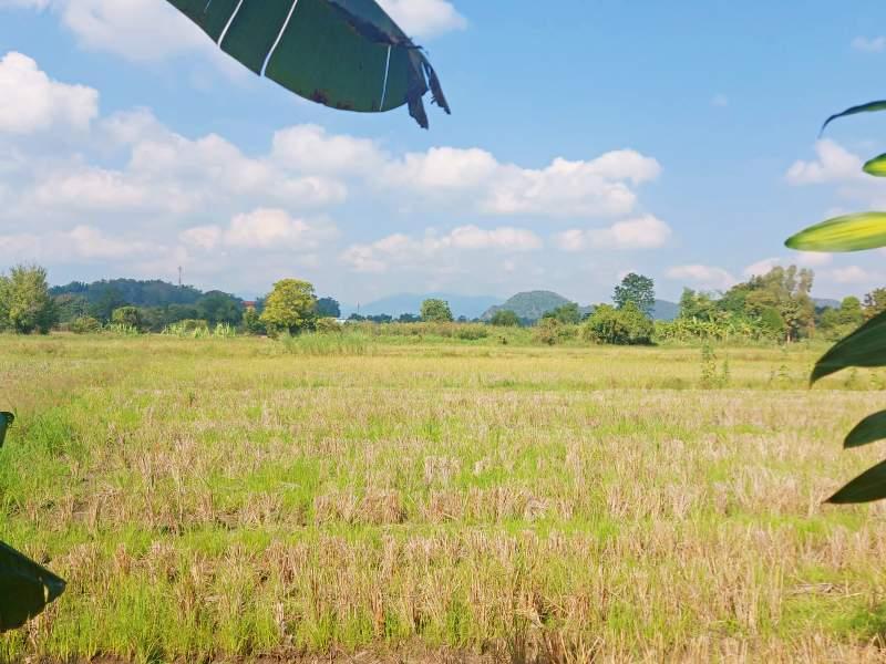 Land for Sale in Rop Wiang, Mueang Chiang Rai - LAND in Chiangrai