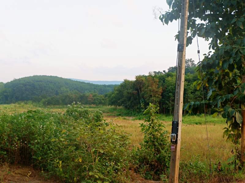 Land for Sale in Huai Sak, Chiang Rai - land for sale chiangrai