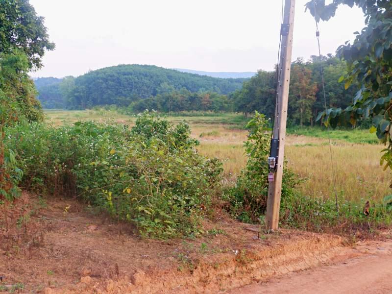 Land for Sale in Huai Sak, Chiang Rai - land for sale chiangrai