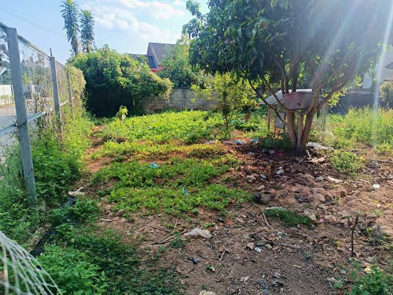 Land for Sale in Ban Du, Mueang Chiang Rai - Land for Sale in Bandu