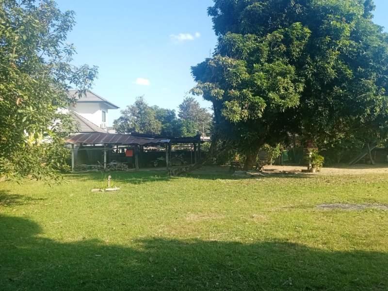 Land for Sale in San Sai, Mueang Chiang Rai - Image# 1