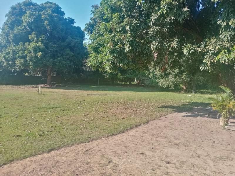 Land for Sale in San Sai, Mueang Chiang Rai - Image# 2