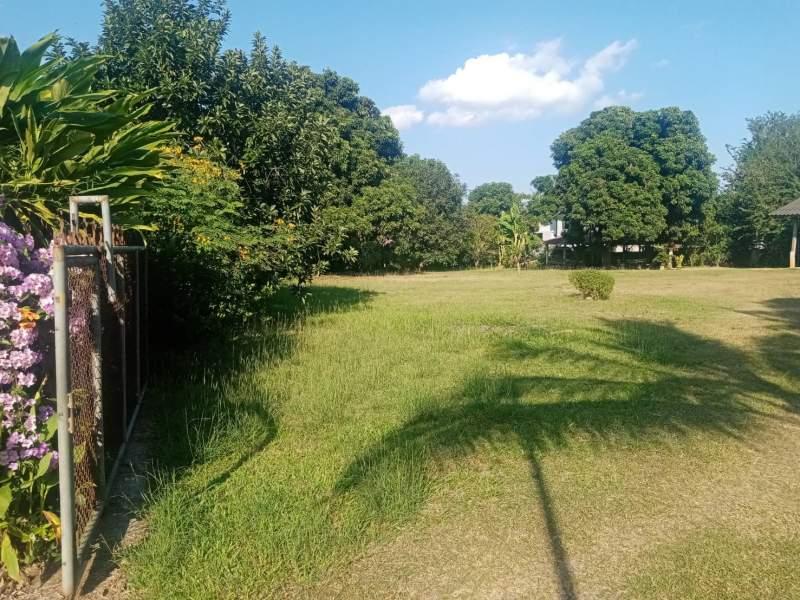 Land for Sale in San Sai, Mueang Chiang Rai - Image# 3