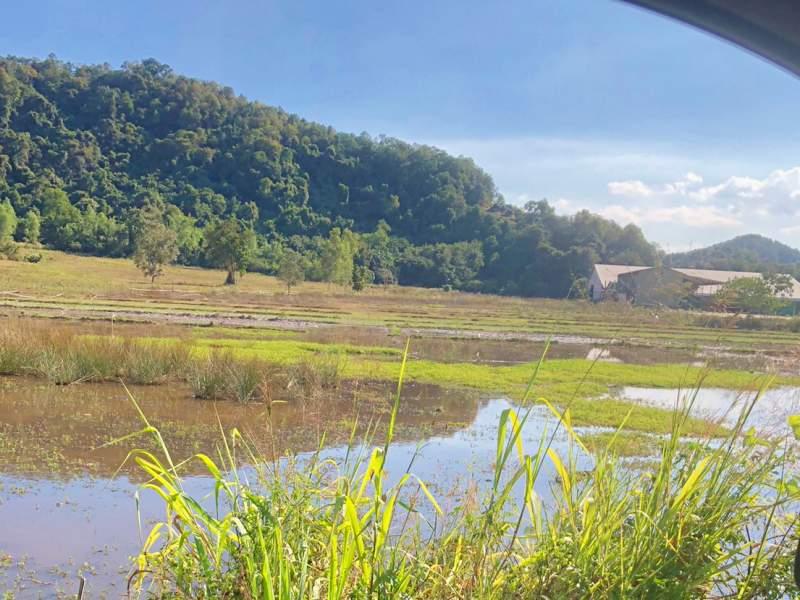 23 Rai Plot in Chiang Rang, Phu Sang District - Ideal for Development - Image# 4