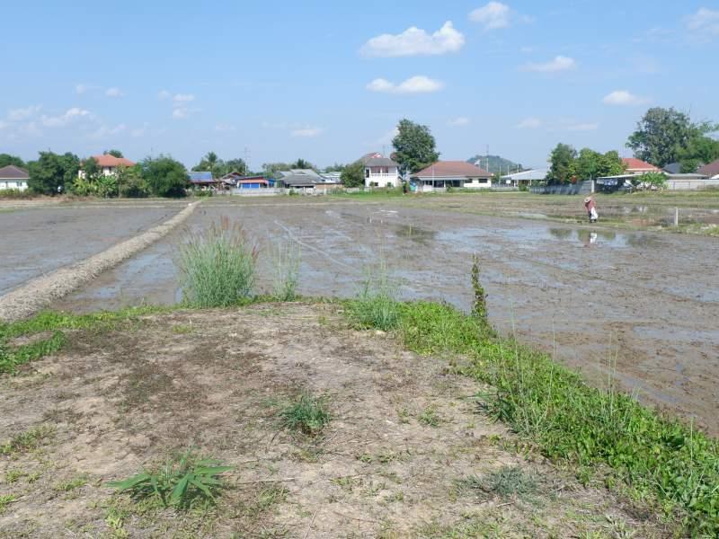 Prime 5 Rai Plot with River, few Minutes from White Temple! - SANSAI LAND FOR SALE