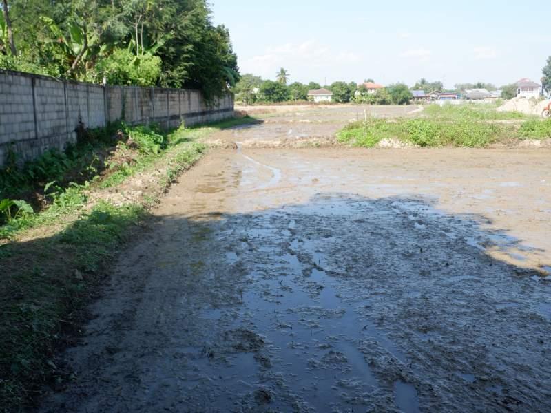 Prime 5 Rai Plot with River, few Minutes from White Temple! - SANSAI LAND FOR SALE