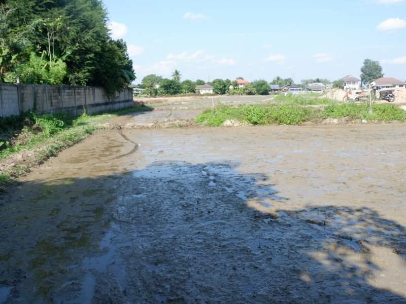 Prime 5 Rai Plot with River, few Minutes from White Temple! - SANSAI LAND FOR SALE