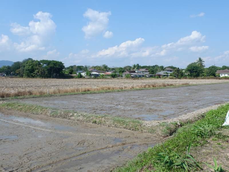 Prime 5 Rai Plot with River, few Minutes from White Temple! - SANSAI LAND FOR SALE