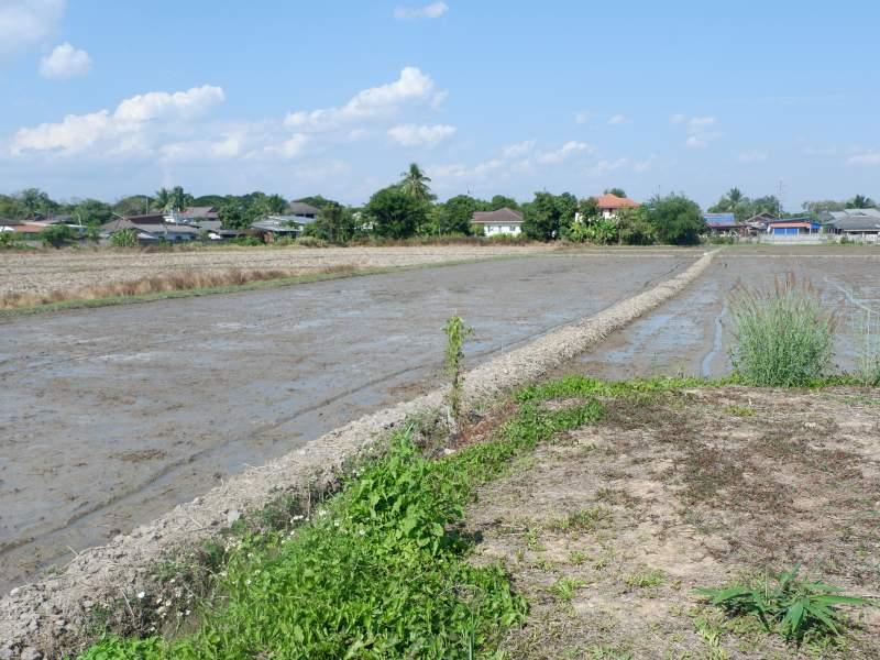 Prime 5 Rai Plot with River, few Minutes from White Temple! - SANSAI LAND FOR SALE