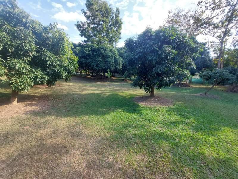 Prime 2 Rai Land Between Chiang Rai City & White Temple! - NONGPUENG LAND FOR SALE