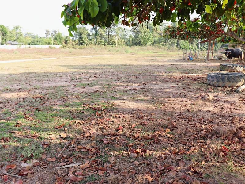 1 Ngan Plot  in Wiang Chai - Great Value! - land in Wiang Chai
