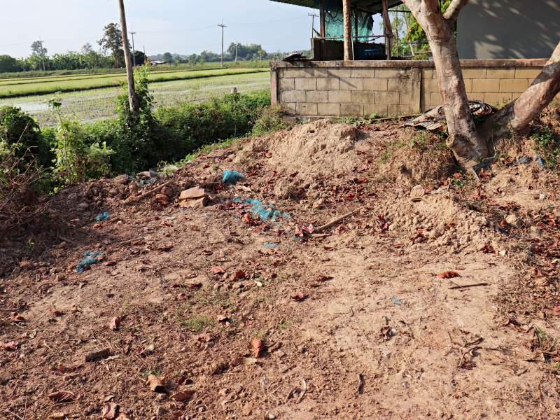 87 SqW Plot in Wiang Chai - Affordable Investment! - Wiang Chai land for sale