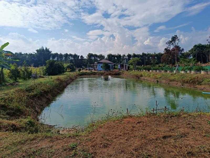 Spacious 5-Bedroom House for Sale in Mae Kon, Mueang Chiang Rai - House and land Mae Kon