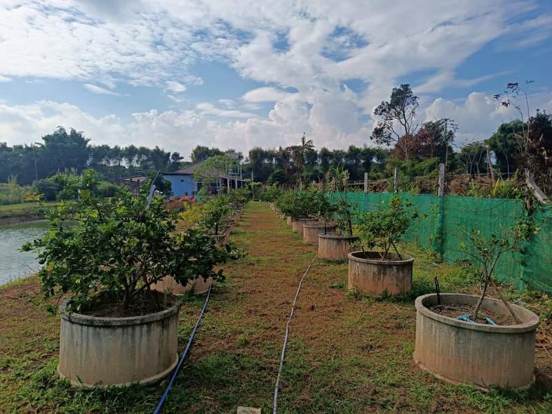 Spacious 5-Bedroom House for Sale in Mae Kon, Mueang Chiang Rai - House and land Mae Kon