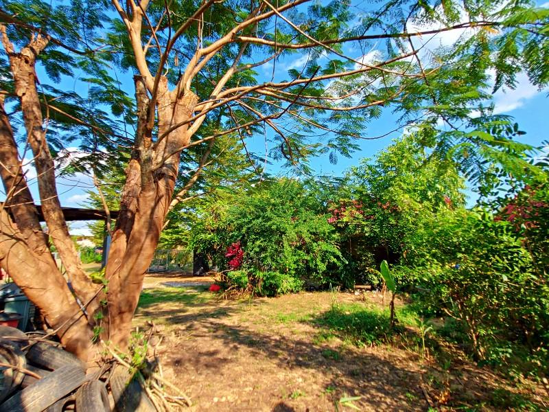 Unique 2-House Property Near Chiang Rai City Center – Ideal for Development - 3 houses for sell in chiangrai