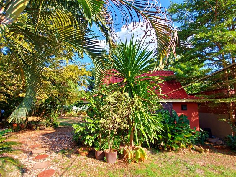 Unique 2-House Property Near Chiang Rai City Center – Ideal for Development - 3 houses for sell in chiangrai