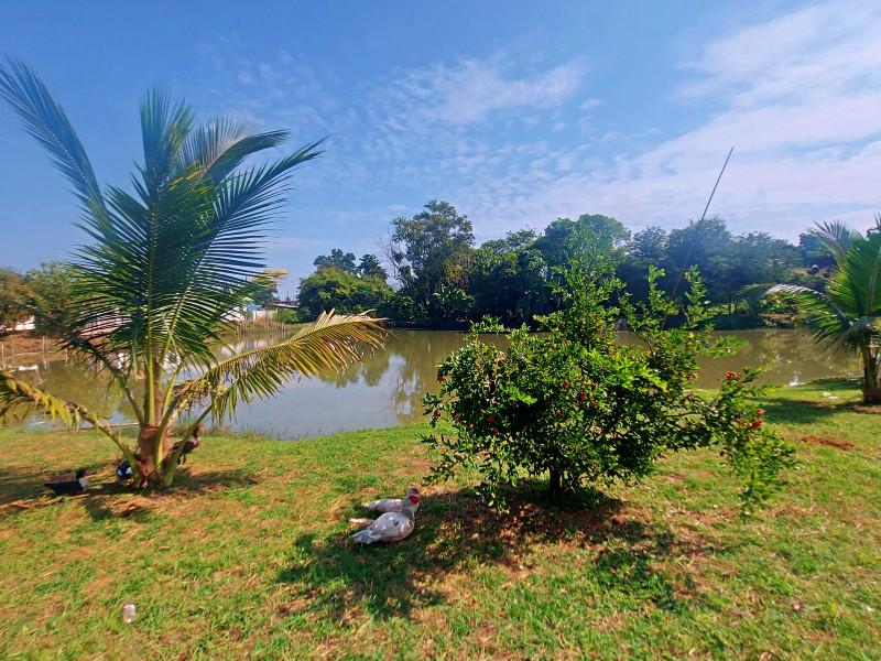 Charming Lakeside Property with 5 Acres of Land in Nang Lae, Chiang Rai - house and land in Nang Lae