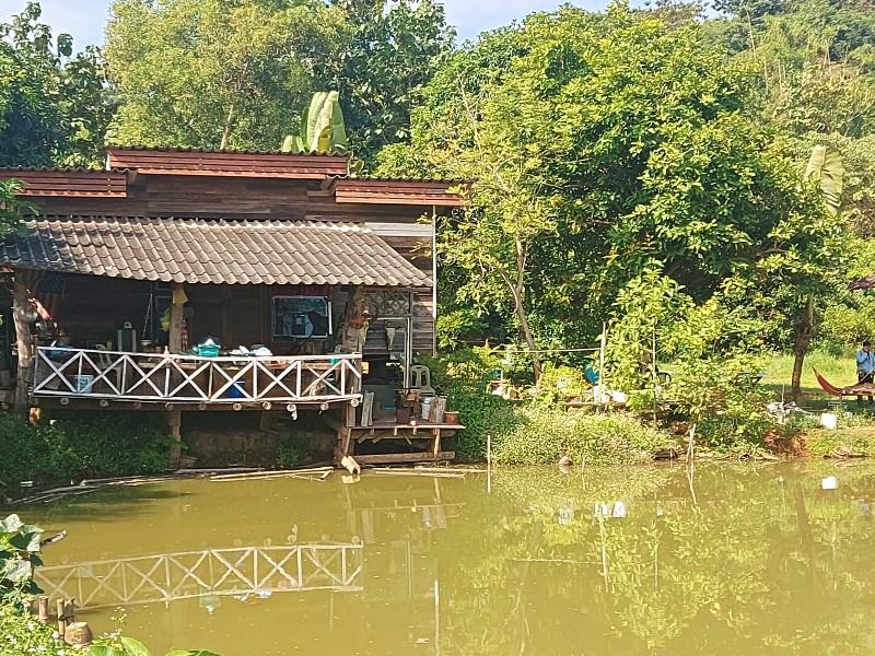 Charming Lakeside Property with 5 Acres of Land in Nang Lae, Chiang Rai - house and land in Nang Lae