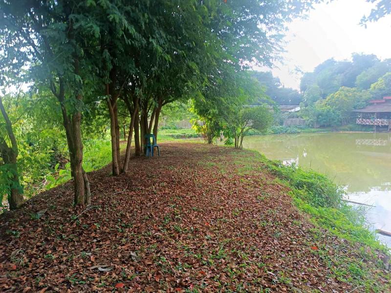 Charming Lakeside Property with 5 Acres of Land in Nang Lae, Chiang Rai - house and land in Nang Lae