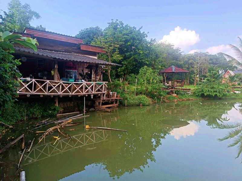 Charming Lakeside Property with 5 Acres of Land in Nang Lae, Chiang Rai - house and land in Nang Lae