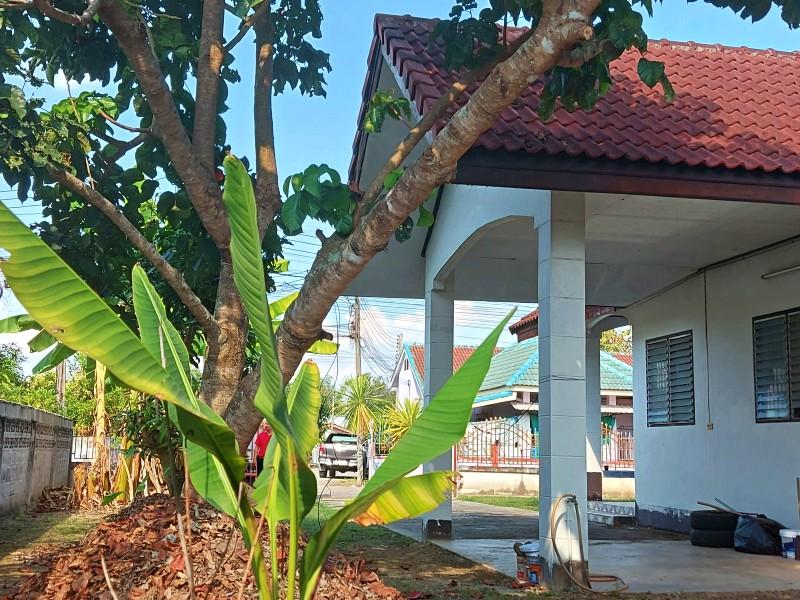 Renovation Opportunity: 2-Bedroom House in Sansai, Chiang Rai - Image# 2