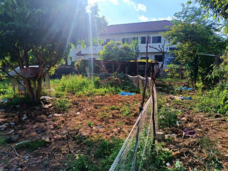 Land with House Near Chiang Rai Rajabhat University - Prime Location - Image# 2