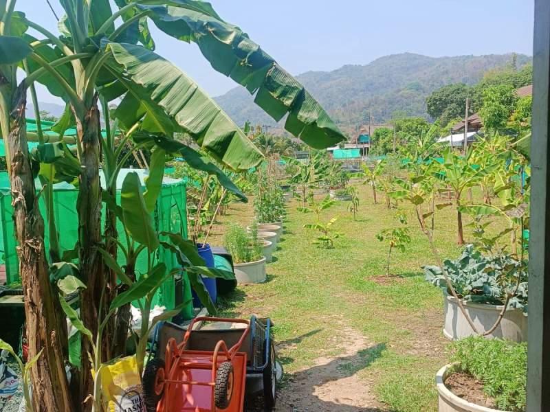 1,600 SqM Sustainable Farm for Sale in Mae Chan, Chiang Rai - Ideal for Ecological Farming - BUSINESS IN MAE CHAN