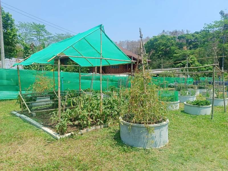 1,600 SqM Sustainable Farm for Sale in Mae Chan, Chiang Rai - Ideal for Ecological Farming - BUSINESS IN MAE CHAN
