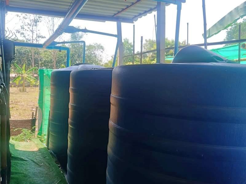 1,600 SqM Sustainable Farm for Sale in Mae Chan, Chiang Rai - Ideal for Ecological Farming - BUSINESS IN MAE CHAN