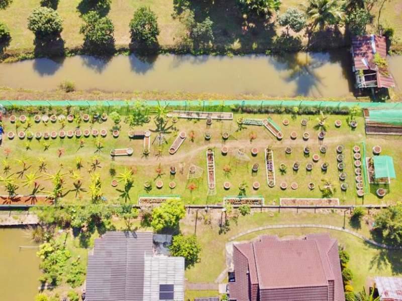 1,600 SqM Sustainable Farm for Sale in Mae Chan, Chiang Rai - Ideal for Ecological Farming - Image# 1